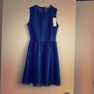 Sandro Blue dress